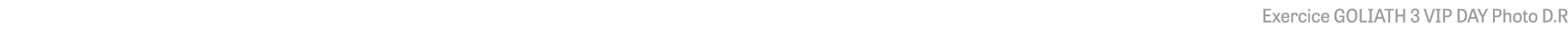 Exercice GOLIATH 3 VIP DAY Photo D R
