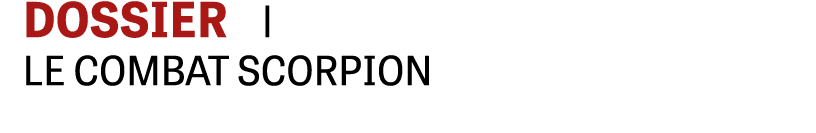 DOSSIER i LE COMBAT SCORPION