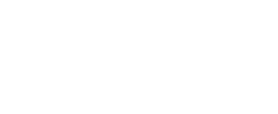 Ordre du jour du général d armée Pierre Schill, chef d état-major de l armée de Terre, présidant la cérémonie militai   