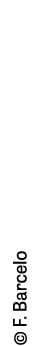   F  Barcelo