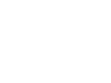 ESM TCUE : 1er ESC   RICM BEMS Affectation actuelle : officier relations parlementaires   EMAT   BPFB Marié, 6 enfants