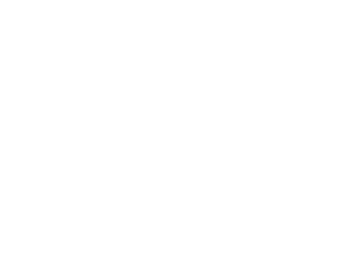 ESM TCUE : 4e Bie   11e RAMa BEMS Affectation actuelle : conseiller militaire au MININT   MOBEX   CAB CEMAT Marié, 2    