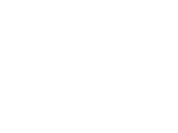 ESM TCUE : 4e Cie   8e RPIMa BEMS Affectation actuelle : chef de section capacités particulières   BCMIS   CFT Marié,   
