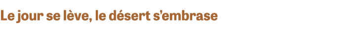 Le jour se lève, le désert s embrase