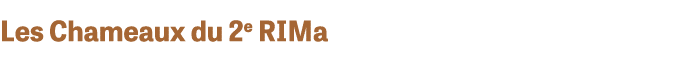Les Chameaux du 2e RIMa