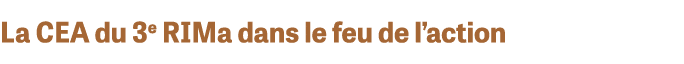 La CEA du 3e RIMa dans le feu de l action
