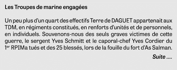 Les Troupes de marine engagées Un peu plus d un quart des effectifs Terre de DAGUET appartenait aux TDM, en régiments   