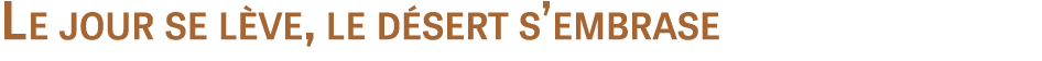 Le jour se lève, le désert s embrase