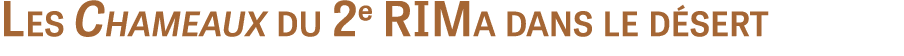 Les Chameaux du 2e RIMa dans le désert