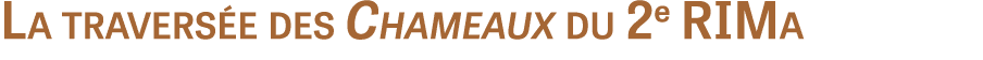La traversée des Chameaux du 2e RIMa