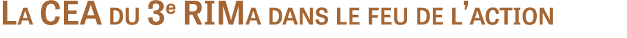 La CEA du 3e RIMa dans le feu de l action 