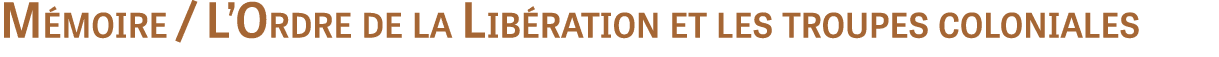 Mémoire   L Ordre de la libération et les troupes coloniales