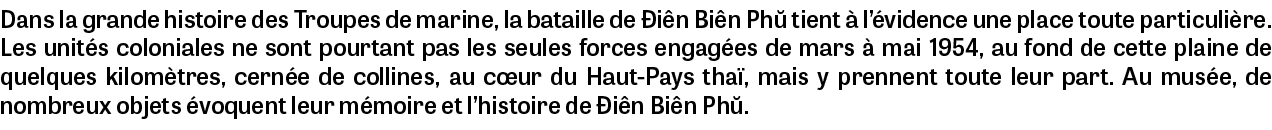 Dans la grande histoire des Troupes de marine, la bataille de i n Bi n Ph  tient   l’ vidence une place toute partic...