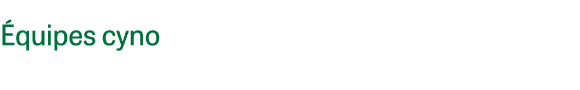  quipes cyno 