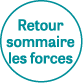 Retour sommaire les forces