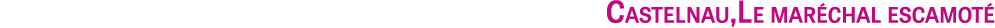 Castelnau,Le mar chal escamot 