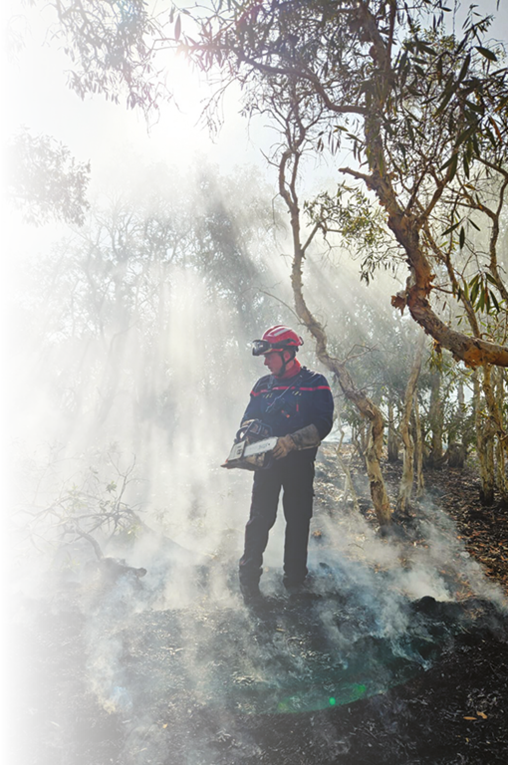 Intervention des pompiers du RSMA-NC, cadres et volontaires, sur les feux de for t entre Koumac et Paagoum ne les 18 et 19 octobre 2024