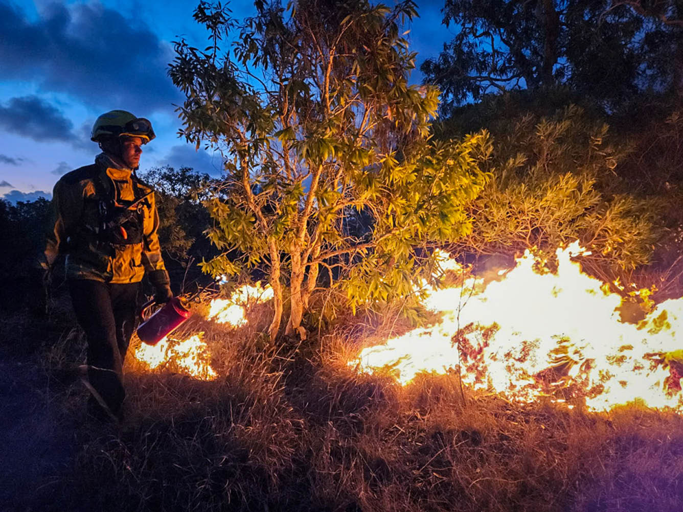 Intervention des pompiers du RSMA-NC, cadres et volontaires, sur les feux de for t entre Koumac et Paagoum ne les 18 et 19 octobre 2024