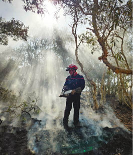 Intervention des pompiers du RSMA-NC, cadres et volontaires, sur les feux de for t entre Koumac et Paagoum ne les 18 et 19 octobre 2024