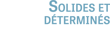 Solides et d termin s 