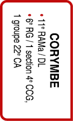 CORYMBE • 11e RAMa / DL • 6e RG / 1 section 4e CCG, 1 groupe 22e CA