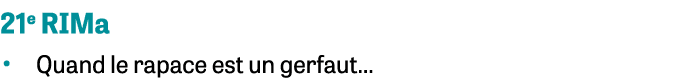 21e RIMa • Quand le rapace est un gerfaut…