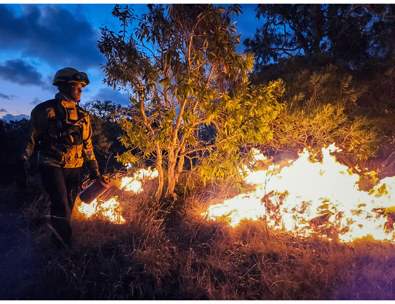 Intervention des pompiers du RSMA-NC, cadres et volontaires, sur les feux de for t entre Koumac et Paagoum ne les 18 et 19 octobre 2024
