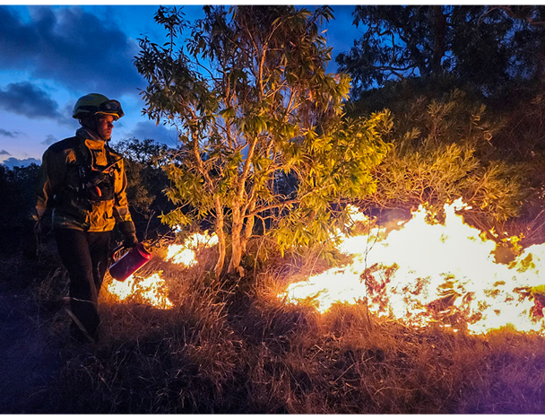 Intervention des pompiers du RSMA-NC, cadres et volontaires, sur les feux de for t entre Koumac et Paagoum ne les 18 et 19 octobre 2024