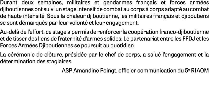 Durant deux semaines, militaires et gendarmes fran ais et forces arm es djiboutiennes ont suivi un stage intensif de ...