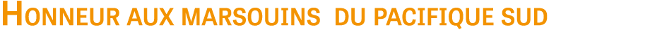 Honneur aux marsouins du pacifique sud