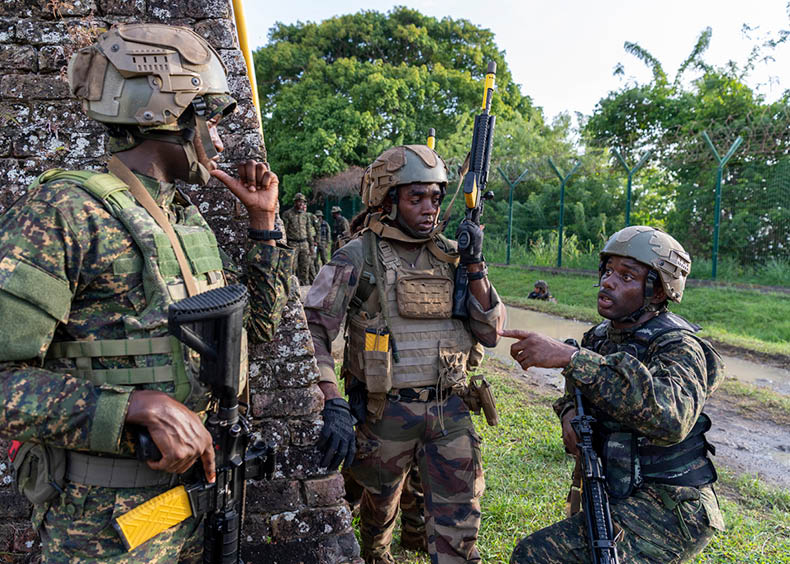 Dans le cadre des activit s de coop ration avec la Barbade, le 33 me r giment d’infanterie de Marine (33 me RIMA) accueille du lundi 25 ao t au vendredi 5 septembre 2025 un d tachement des forces arm es de la Barbade d sign pour partenariat militaire op rationnel baptis  « Sabre ».  Les troupes fran aises et barbad ennes progressent en marche tactique en coop ration.