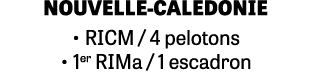 NOUVELLE CALEDONIE • RICM / 4 pelotons • 1er RIMa / 1 escadron
