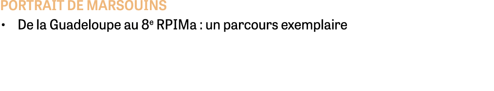portrait de marsouins • De la Guadeloupe au 8e RPIMa : un parcours exemplaire 