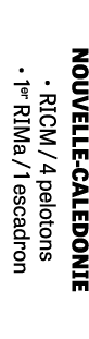 NOUVELLE CALEDONIE • RICM / 4 pelotons • 1er RIMa / 1 escadron