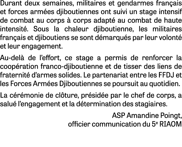 Durant deux semaines, militaires et gendarmes fran ais et forces arm es djiboutiennes ont suivi un stage intensif de ...