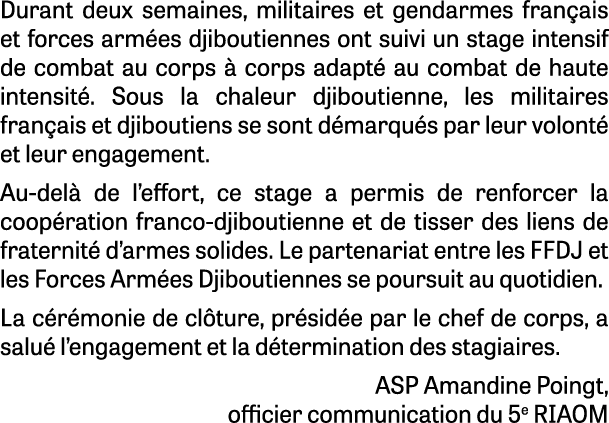 Durant deux semaines, militaires et gendarmes fran ais et forces arm es djiboutiennes ont suivi un stage intensif de ...
