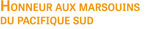 Honneur aux marsouins du pacifique sud