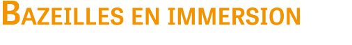 Bazeilles en immersion