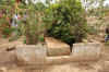 Agrandir la photo
