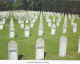 necropole.jpg (381085 octets)