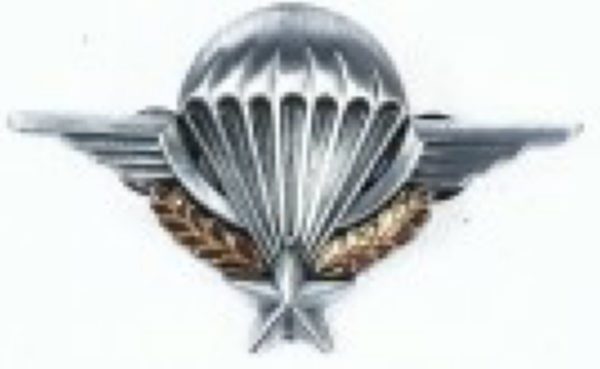Pin's n°5 Brevet para
