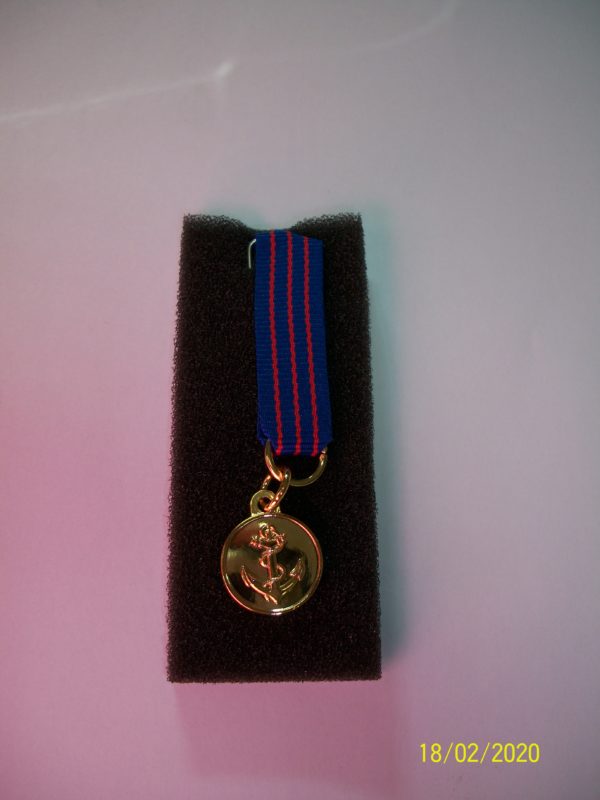 Médaille des anciens d'outre mer petit modèle