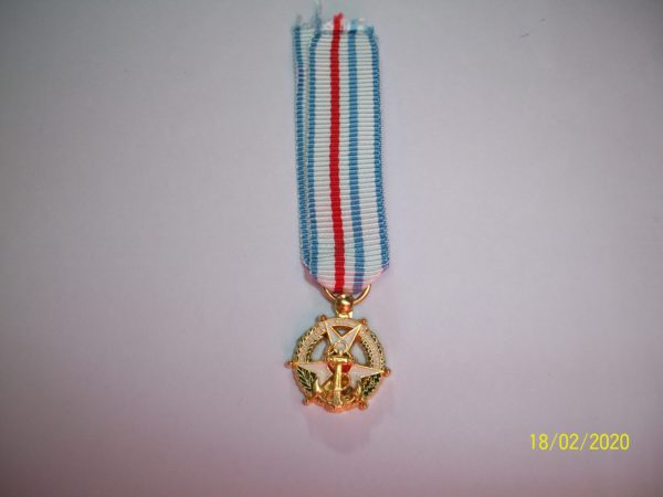 Médaille du mérite colonial petit modèle