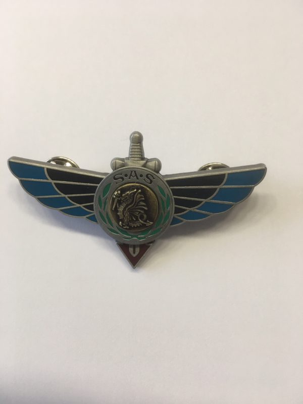 Insigne RAPAS monté sur attaches pin's échelon BRONZE