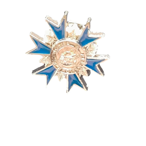 Pin's  de boutonnière Odre national du mérite